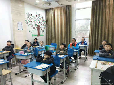 臨沂東魯教育信息咨詢 專業(yè)引領(lǐng)，助力學(xué)子揚(yáng)帆起航